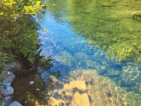 lodge les pieds dans l'eau