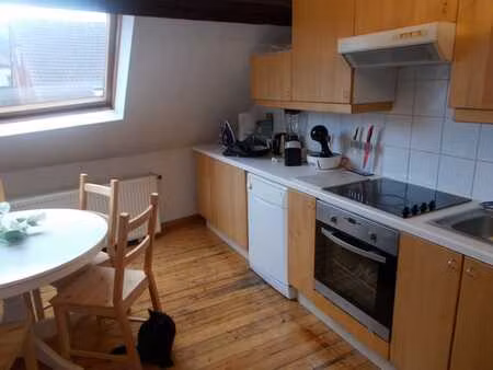 lumineux appartement 55 m2 - institutions ue/la chasse