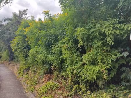 terrain constructible à vendre