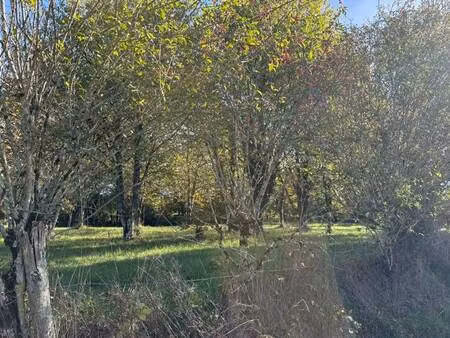 terrain constructible à vendre