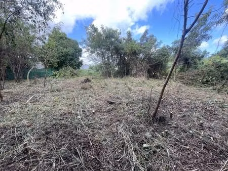 terrain constructible viabilisé à vendre