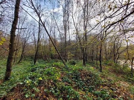 propriété de loisirs à vendre