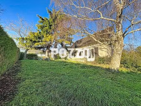 pozzo immobilier- saint pierre