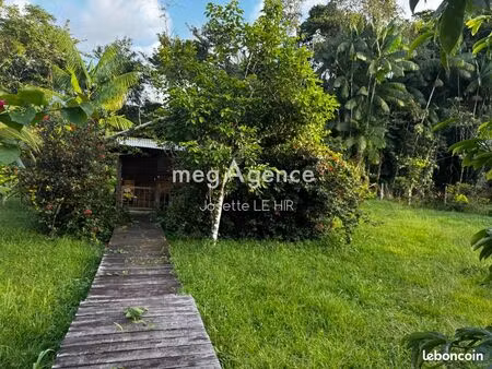 terrain 1560 m² matoury