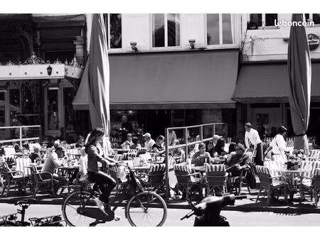 boutique 250 m² marseille