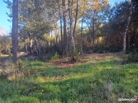 forêt 3 658 m² saint sauveur