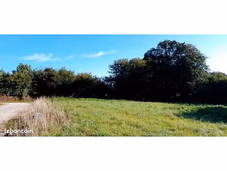 terrain constructible