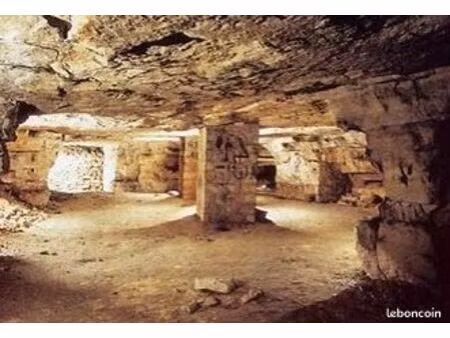 entrepôt stockage cave à vins de 7 000 m² avec grand parc de loisirs arboré de 14 883 m² à