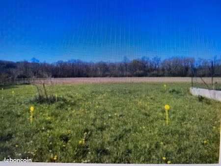 terrain 1 399 m² barzun