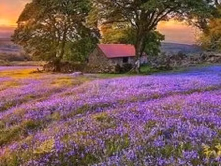 terrain 498 m² cinq mars la pile