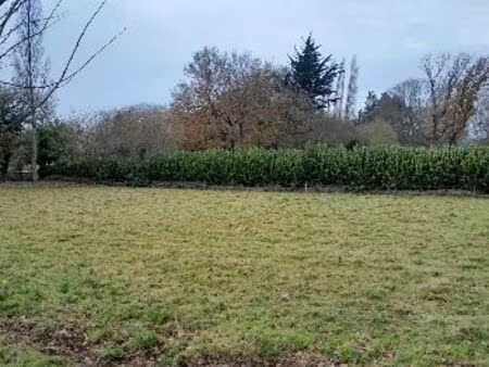 terrain constructible