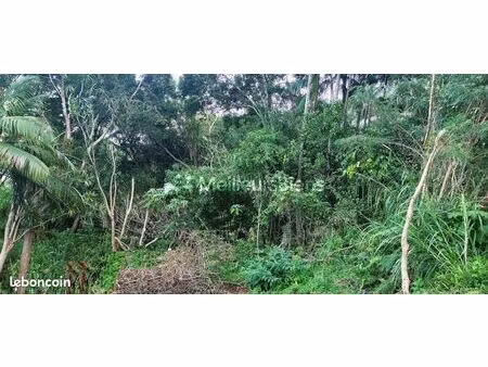 terrain 1 362 m² saint joseph