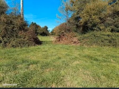 prairies pour chevaux
