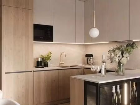 appartement 1 pièce 30 m²