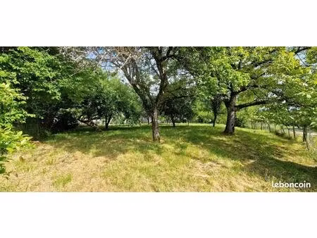 terrain constructible