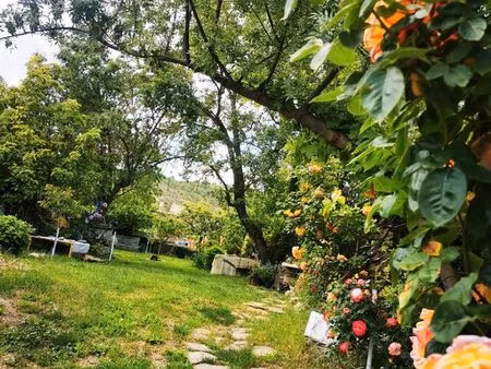 terrain constructible