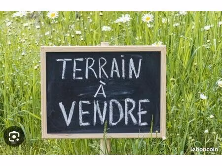 terrain constructible