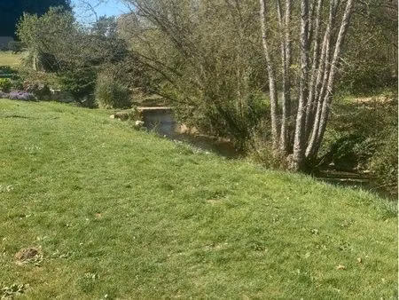 parcelle bois / taillis