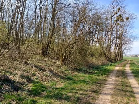 2 parcelles boisées en forêt