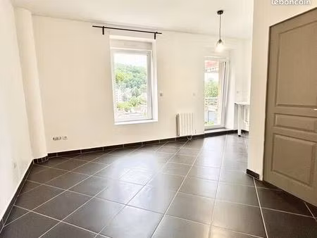 nancy liberation  t2 renove  38 m2 balcon 116 000 dans la verdure