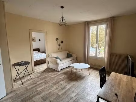 grand t2 meuble - lumineux - hypercentre mayenne