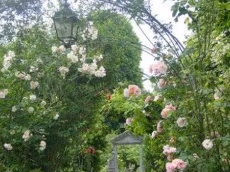 f2 dans petite résidence au calme