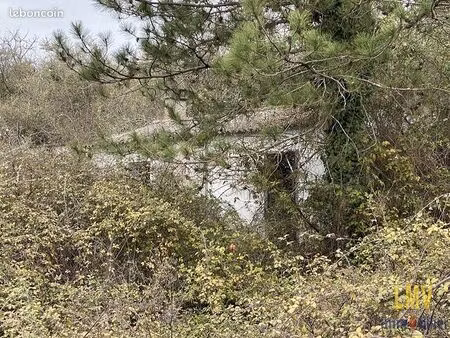 maison 3 pièces 50 m²