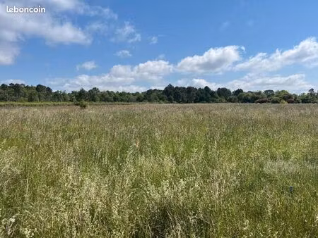 terrain 1 605 m² bazas