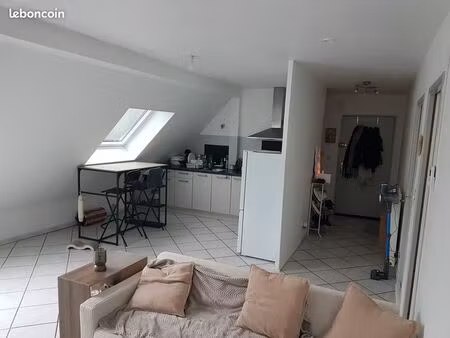 f3 combles 46m² kalhausen