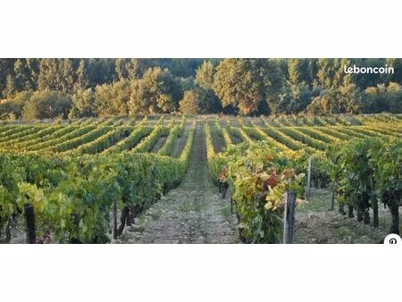 cave creusée dans le roc à beaumont-en-véron (la durandière)