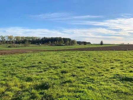 terrain proche beaune