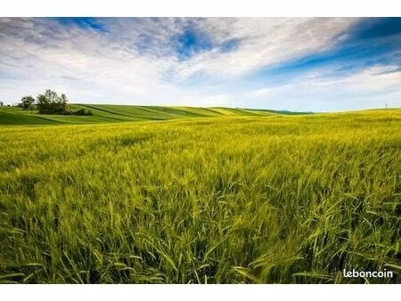 cherche terrain agricole ou naturel