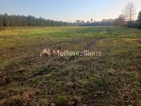 terrain agricole 12 000 m² saint savin