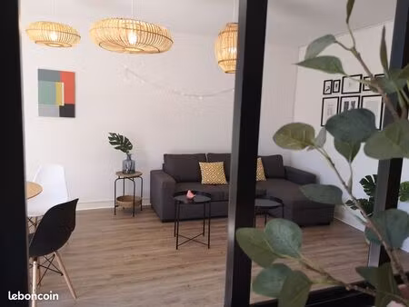 t3 centre ville avec jardin