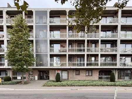 appartement à louer à hasselt € 925 (ljr58) - dewaele - hasselt verhuur | zimmo