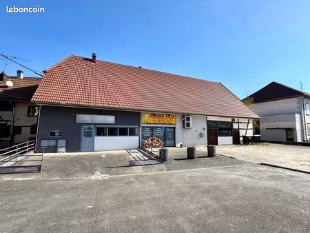 local 223 m² dannemarie