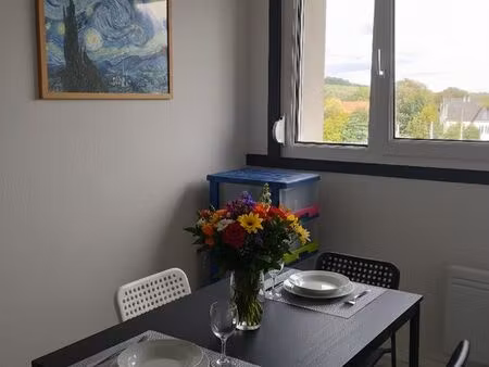 studio 25m² rénové – double potentiel locatif – belfort centre (investisseur)