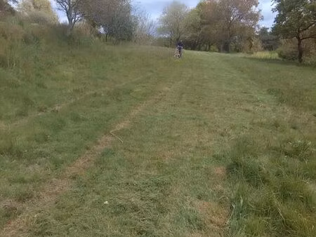 parcelle 250m2 sur terrain arboré 3km port perros guirec