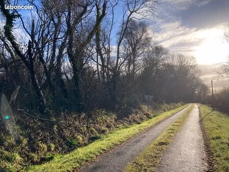 forêt (bois 4.56ha+prairie 2.9ha)