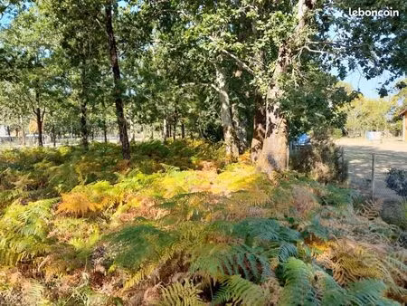 terrain 800 m² cabanac et villagrains