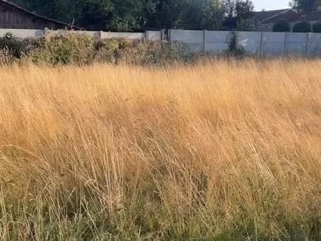 terrain 1 100 m² saint maixant