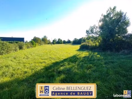 terrain 10125 m² baugy