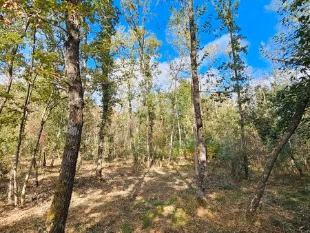 parcelles forestières de​ loisir avec ruisseau