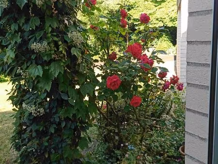 maison angers quartier madeleine  saint leonard  justices