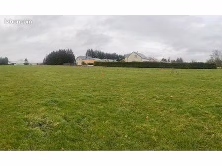 terrain constructible