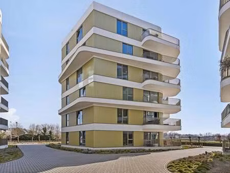 appartement à louer à boom € 1.100 (ljpo4) | zimmo