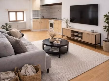 immeuble de rapport - 6 appartements rénovés à jarville-la-malgrange – rentabilité et aucu