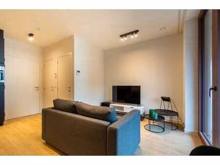 lumineux studio avec terrase proche de l'escaut