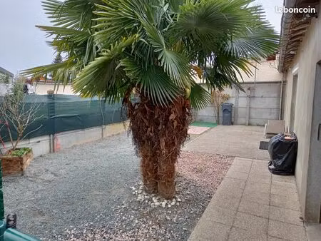 location maison t3  58 m2