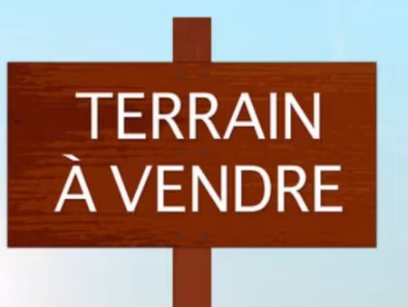 terrain constructible